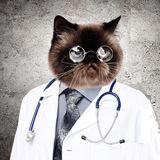 Medical photo album
