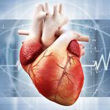 Cardiology / Кардиология