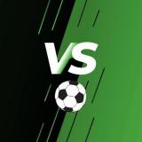 FIFA Fan