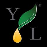 Young Living Россия