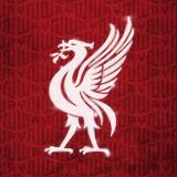ФК Ливерпуль ~ YNWA