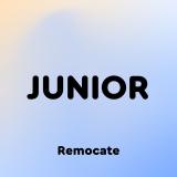 Remocate Junior: стажировки и вакансии д