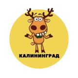 Калининград | События | Подслушано
