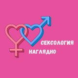 Сексология наглядно