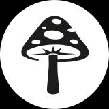 🍄 FUNGILINE Грибной канал М.Вишневского 