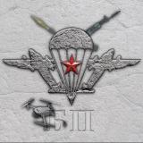 БП (Боевая Подготовка) СпН, Разведка, ВД