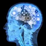 Нейропсихология🧠 | Дети | Психология| Ра