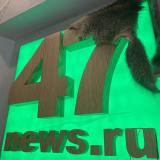 47news🔥