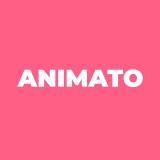 Оркестр Animato