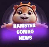 Hamster Kombat | Комбо карточки | Новост