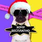 Хочу БЕСПЛАТНО 🟨 Скидки на WB / Ozon / Y