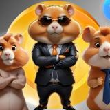 Hamster Kombat комбо карточек/лайфхаки/ 