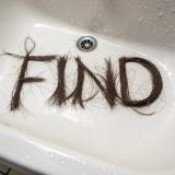 DIMA FIND