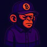 Danger Monkey